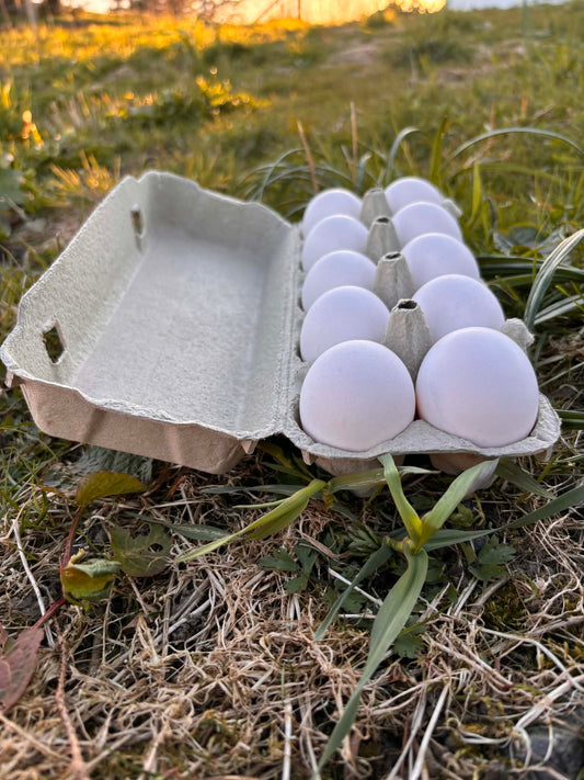 Egg fra Frittgående Ute Høner