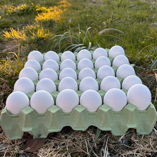 Egg fra Frittgående Ute Høner
